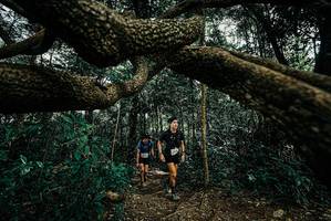 BIB: 
                            <button type="button" onclick="openModal(25665687)" class="btn btn-primary btn-sm float-right btn-popup" data-toggle="modal" data-target=".modal-high-quality">
                        <i class="fas fa-shopping-cart"></i> Add to Cart
                    </button>
                                            <button type="button" onclick="isThisMe(25665687, true)" class="btn btn-success btn-sm float-right btn-popup btn-isme hidden" data-toggle="tooltip" data-placement="bottom" title="นี่คือรูปของคุณใช่ไหม คลิกที่นี่เพื่อเอาเข้าอัลบั้ม">
                        <i class="fas fa-plus"></i> Add to album
                    </button>
                    <button type="button" onclick="isThisMe(25665687, false)" class="btn btn-warning btn-sm float-right btn-popup btn-isnotme hidden">
                        <i class="fas fa-ban"></i> Remove from album
                    </button>